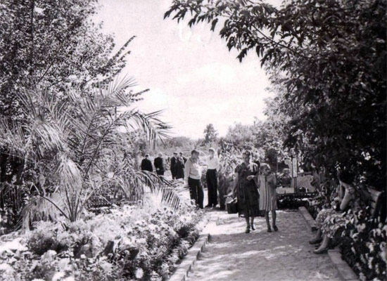 Городская выставка на территории «Декоративных культур». 1950-е