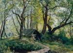 Old Lindens. I. Shishkin. 1894. Canvas, oil