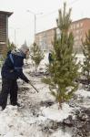 Каждое деревце обязательно «утепляется» снегом