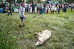 Баран, главный приз праздника, достанется самому сильному батыру