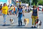 Хозяева представили своих питомцев