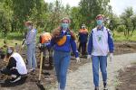 К посадкам присоединились волонтеры